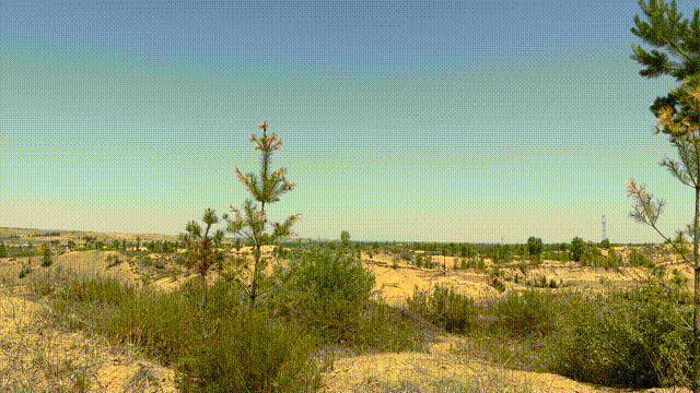 1661399223200226.gif 640 (1).gif